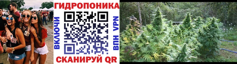 Шишки марихуана VHQ Сердобск
